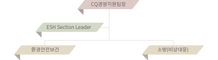 총경리 밑에 ESH팀장이 있고 그 밑에 환경파트, 안전파트, 보건파트가 있다
